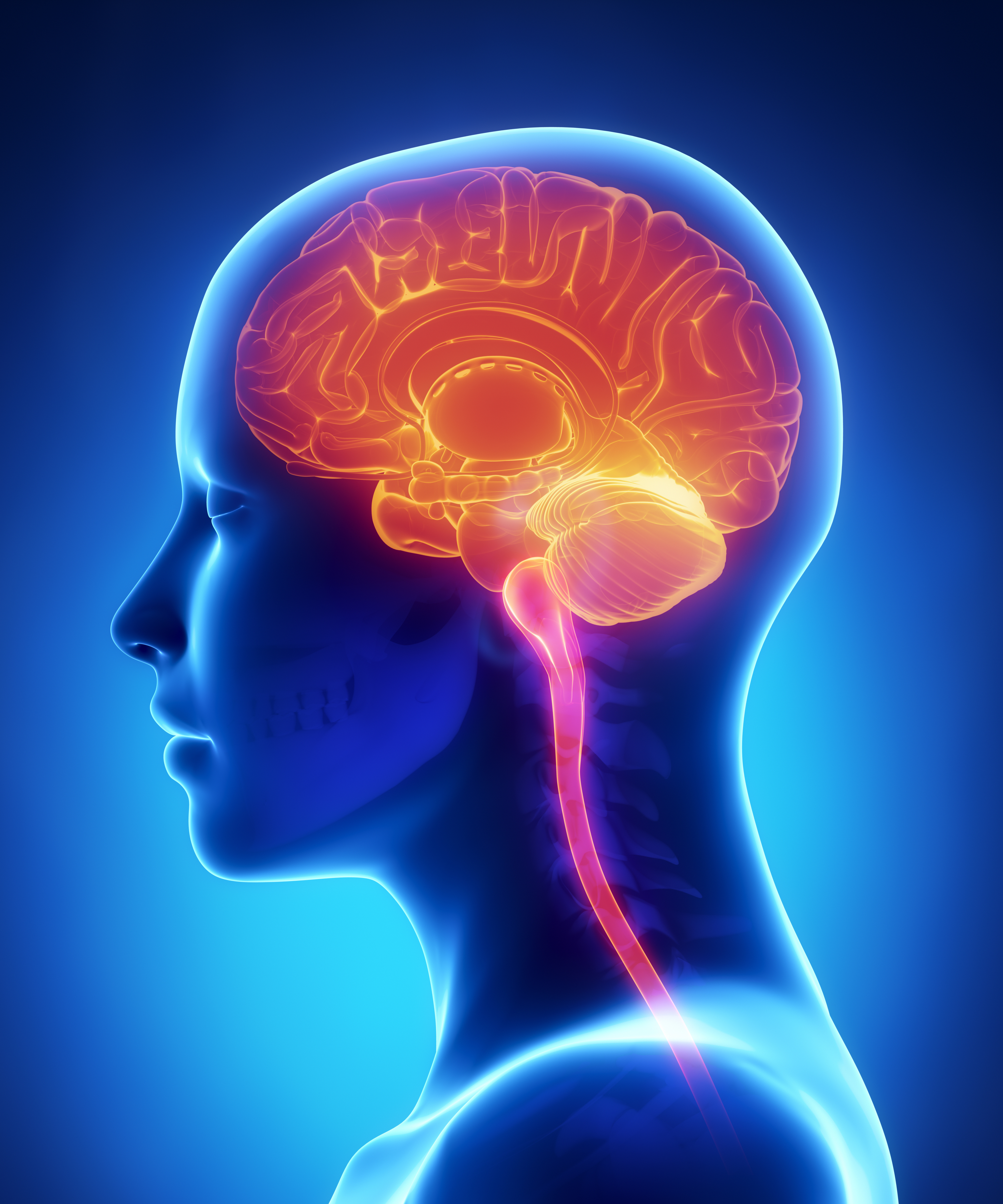 Brain diseases. Головной мозг. Нервная система человека. Изображение мозга человека.