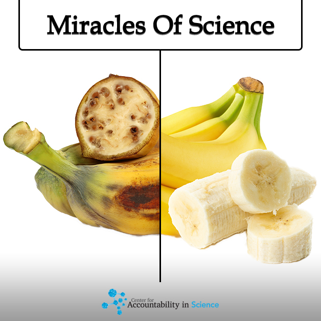 The Center for Accountability in Science Your Favorite Foods Before